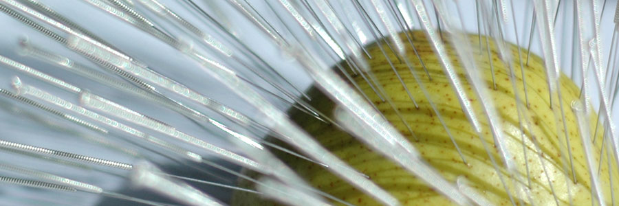 Лечебные иголки 